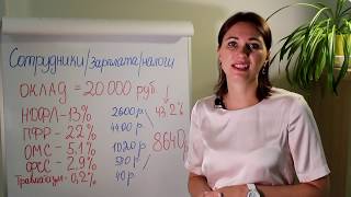 Сотрудники, Зарплата, Кадры и налоги.