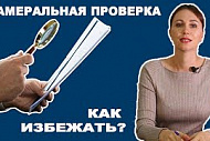Как избежать камеральной налоговой проверки в 2020 году?